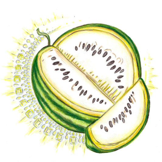 White Gold Watermelon Seeds